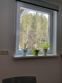 Apartments Traun-haft - 1