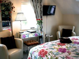 Y Garth Luxury Bed and Breakfast - Newport - 1