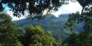 Vamoose Poomong - Darjeeling - 7