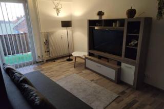 Appartement tout confort, meublé et équipé. - Sarreguemines - 3