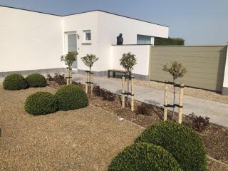 Vakantiehuis Onverbloemd - 0