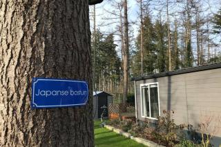 Japanse bostuin met Wifi - 0