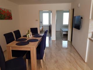 Apartmán s vinným sklepem VIKTORIE Pouzdřany - Pouzdřany - 6