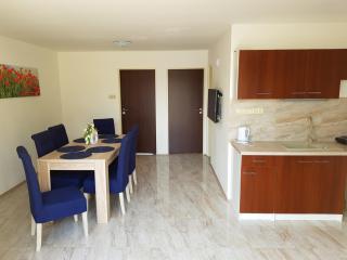 Apartmán s vinným sklepem VIKTORIE Pouzdřany - Pouzdřany - 2