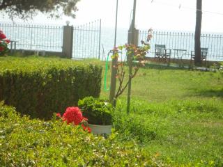 Eirini Kasimiotou Apartments - Agios Andreas - 8