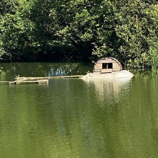 La Fermette Aux Canards - Savigny-Lévescault - 5