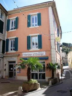 Hôtel L'Herbier d'Orange - Orange - 5