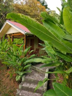 Cabina Rancho la Merced - Uvita - 0