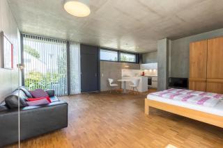 Mettnau-apartment - Radolfzell am Bodensee - 8