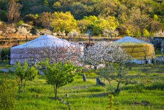 Glamping El Jardín De Las Delizias Valle Del Jerte - Casas del Castañar - 1
