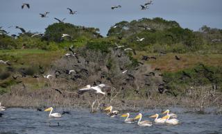 De Hoop Collection - Opstal Houses - De Hoop Nature Reserve - 7