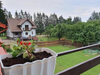 Kurnik Polski agroturystyka - Tykocin - 3
