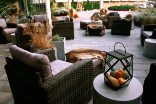 KolleKolle Konferencehotel - 7