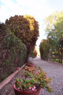 Agriturismo La Mandragola Relais - Crotone - 2