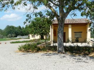 Villa Pian De Noci - Tenuta del Palagio - 6