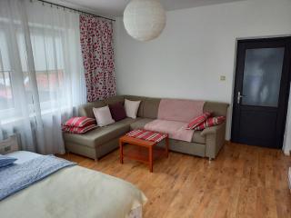 Mieszkanie u Zofii - Krościenko n.D - 6