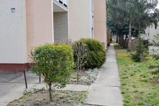 Krisztina Apartman 81 - Hajdúszoboszló - 1
