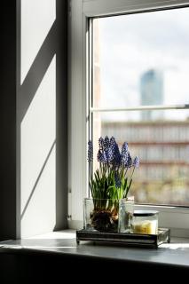 TS Boutique Apartments - Stettin - 5
