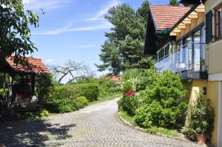 Ferienwohnungen Weingut Familie Danko - 1