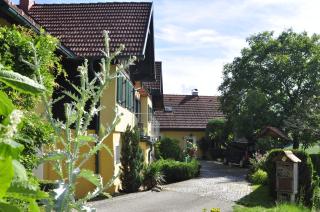 Ferienwohnungen Weingut Familie Danko - 3