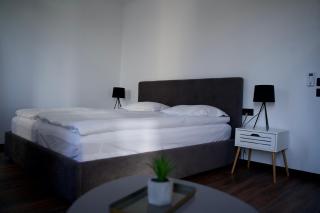 Style Hotel - Ungheni - 4