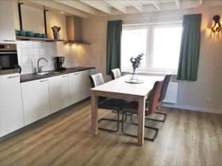 DWO91 Modern und new apartment 'Ostrica' - Domburg - 6