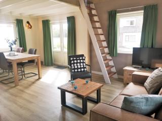 DWO91 Modern und new apartment 'Ostrica' - Domburg - 1
