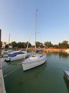 Coral Residence -Mamaia Nord - Mamaia - 5