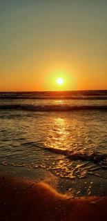 Coral Residence -Mamaia Nord - 4