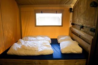 Camping Het Horstmannsbos - Gasselte - 4