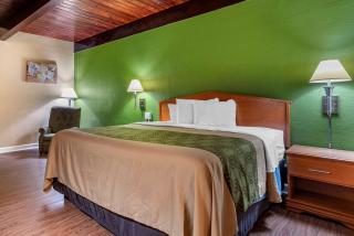 Econo Lodge Tallahassee Near Capital -University - Tallahassee - 7