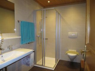 Apartment Schuler-1 by Interhome - Nasserein - 4