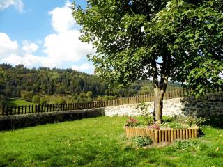 Holiday Home Le Haut d'Ancette by Interhome - Saint-Julien-dʼAnce - 9