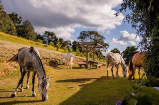 Casa Principal Montanha Home - 1