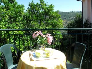 Apartment Elisa - DOL127 by Interhome - Costa Carnara - 9