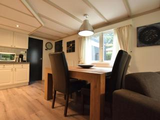 Chalet with private garden and terraces - Putten - 0