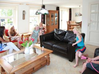Comfortable villa near the Wadden Sea - Hippolytushoef - 8