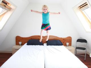 Comfortable villa near the Wadden Sea - Hippolytushoef - 2