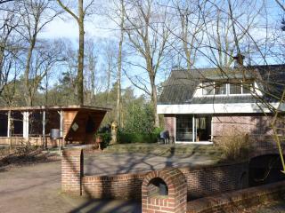 Holiday home with pool, sauna - Lunteren - 8