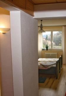 Ferienwohnung Wolf - Gräfenroda - 1