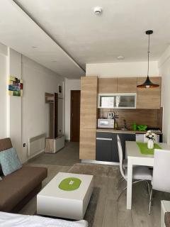 MILMARI APARTMAN P03 - Kopaonik - 3