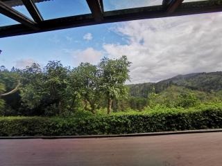Cabaña Hamacas - Cartago - 6