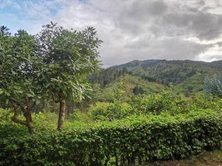 Cabaña Hamacas - Cartago - 2