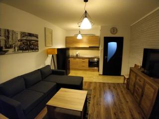 Drago Apartament free parking - Boergas - 3