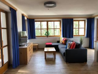 Appartement Schwab Ski in & Out - Schladming - 7