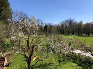 Studio Apartman Lipik - 5