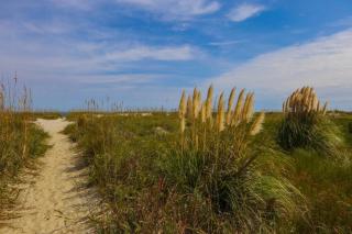 Gigi's Beach House - Isle of Palms - 3