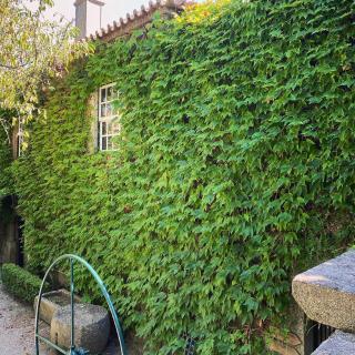 Casa dos Barros Winery Lodge by Vintage Theory - Sabrosa - 2