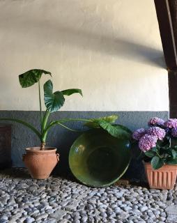 Apartamentos Villa Solana , casco histórico - 5
