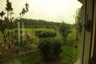 Countryside B&B - 7